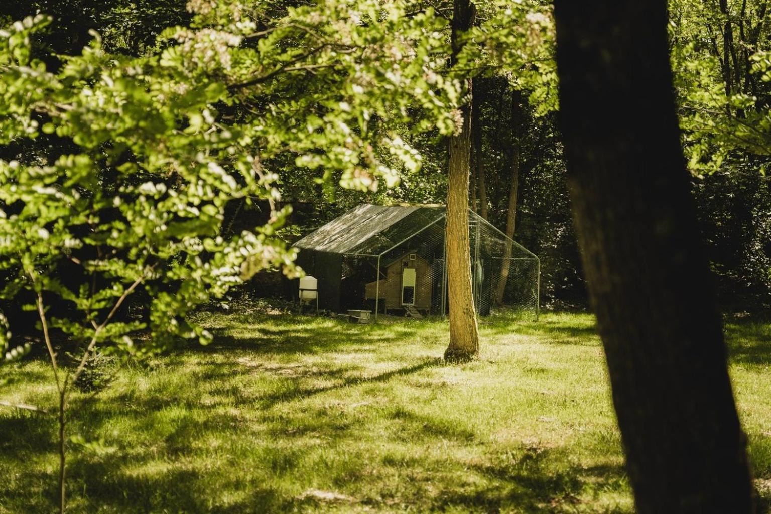 Domaine De Montizeau Bed and Breakfast Lailly-en-Val Εξωτερικό φωτογραφία